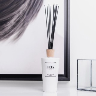 mon diffuseur - Origines