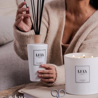 mon diffuseur - Origines